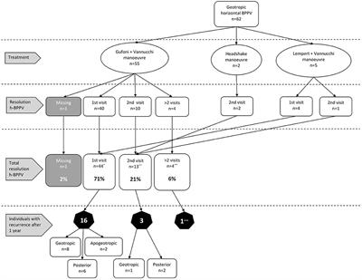 Treatment Results of Geotropic and Apogeotropic Horizontal Canal Benign Paroxysmal Positional Vertigo in a Tertiary Dizziness Clinic